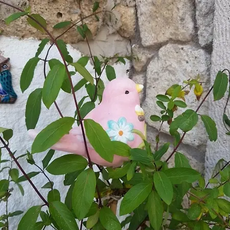 Szálloda Mavi Ruezgar Alacati (adults Only)